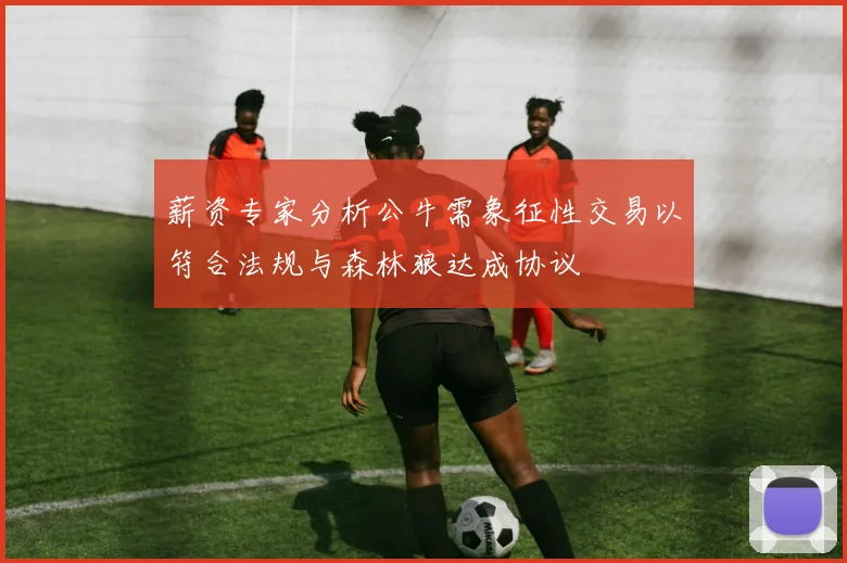 薪资专家分析公牛需象征性交易以符合法规与森林狼达成协议